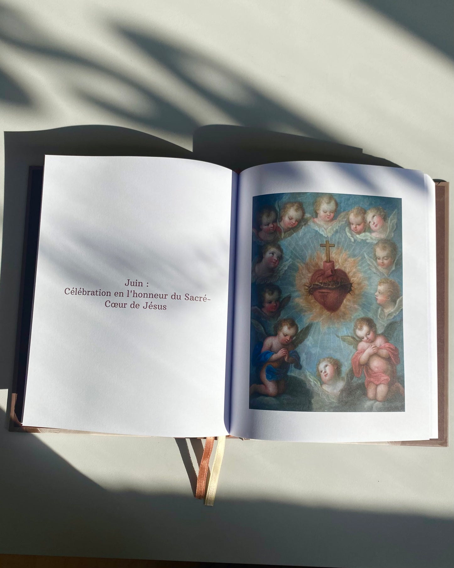 Agenda Catholique 2026